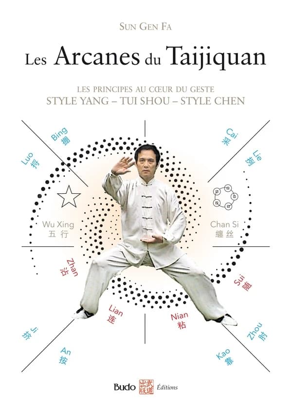 Les Arcanes du Taijiquan : Les principes au coeur du geste. Style Yang - Tui Shou - Style Chen