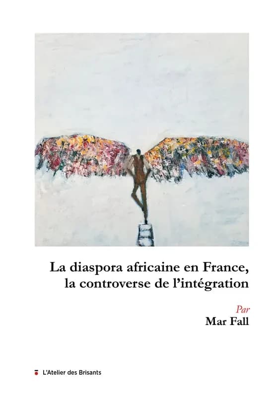 La diaspora africaine en france, la controverse de l'integration