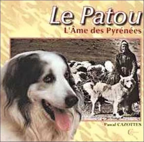 Le patou : l'âme des Pyrénées