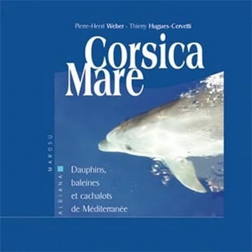 Corsica mare : dauphins, baleines et cachalots de Méditerranée