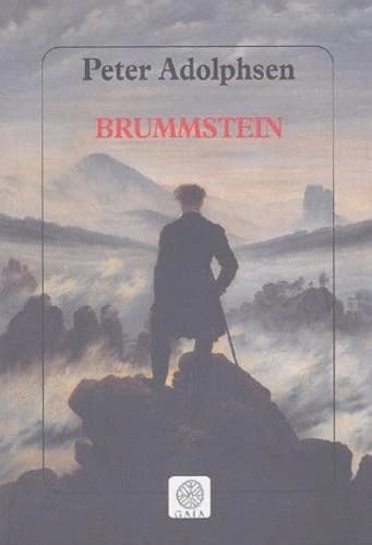 Brummstein : roman