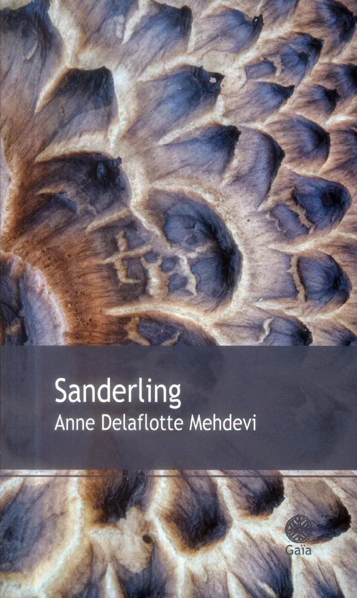 Sanderling : roman