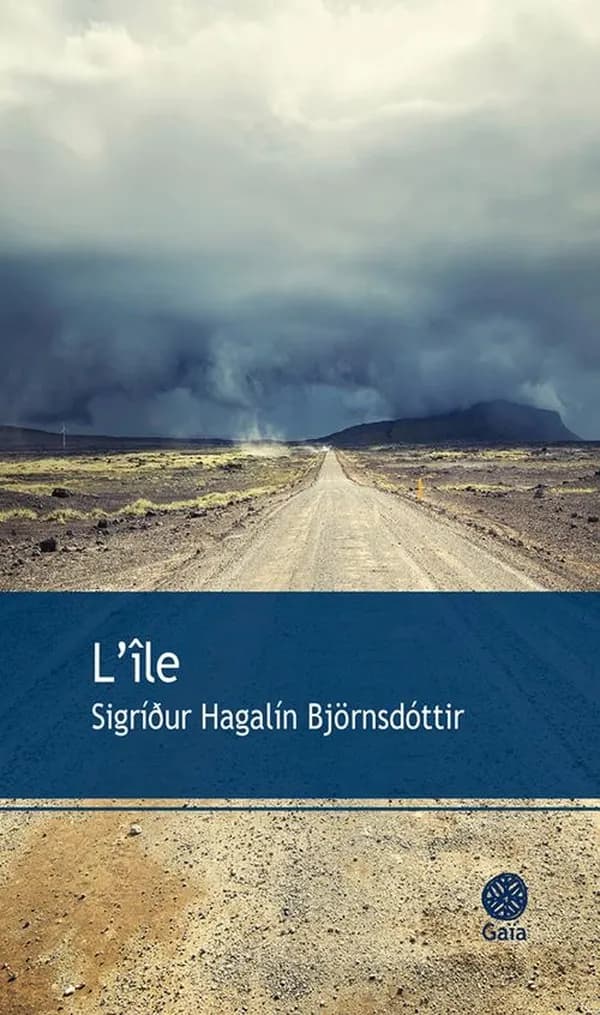 L'île : roman