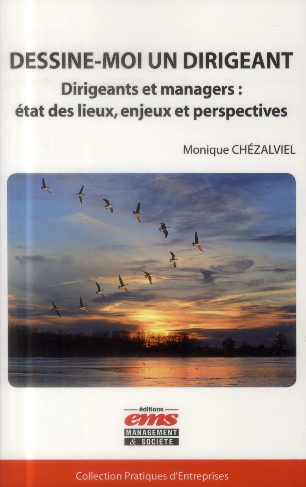 Dessine-moi un dirigeant : dirigeants et managers, état des lieux, enjeux et perspectives