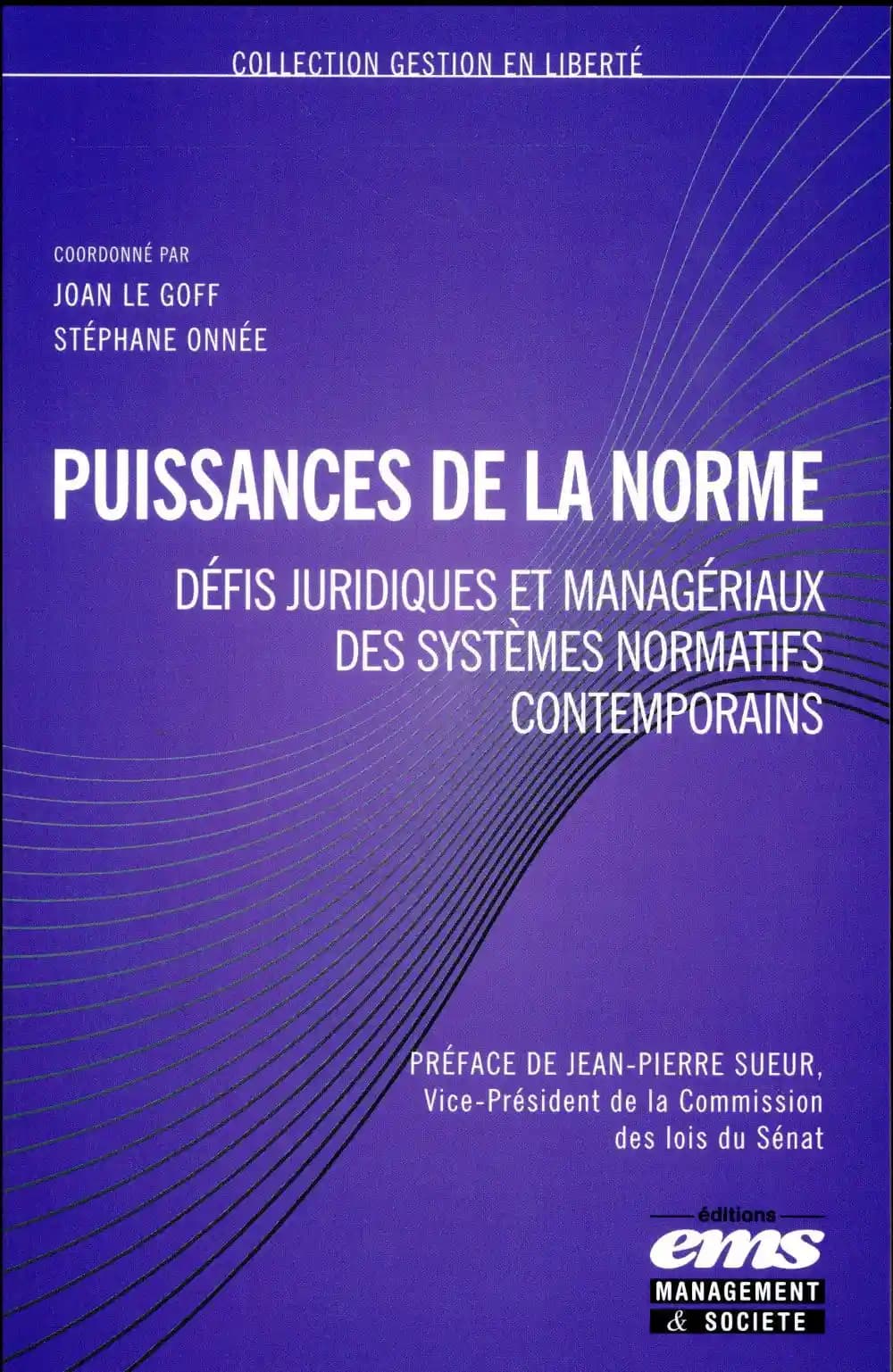 Puissances de la norme : défis juridiques et managériaux des systèmes normatifs contemporains