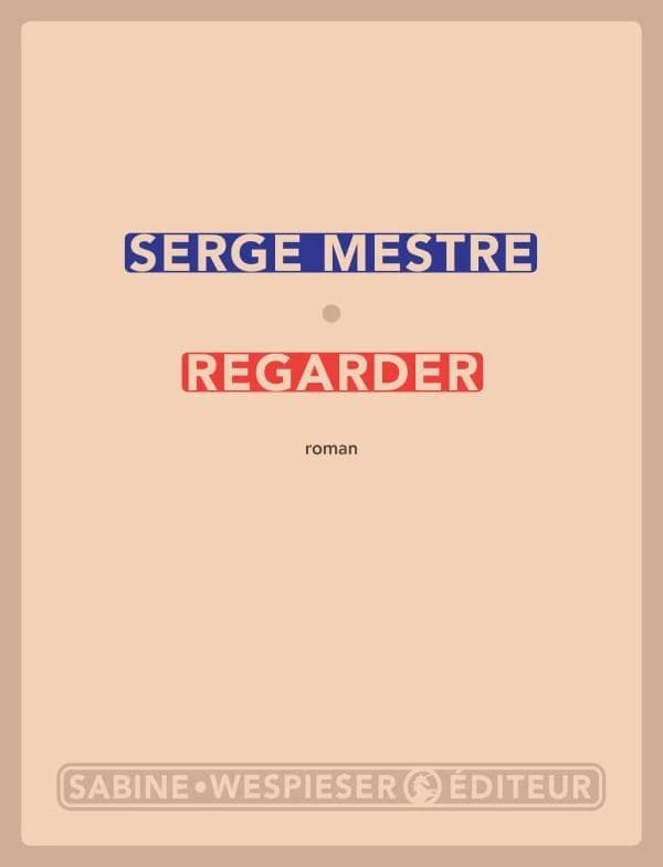 Regarder : roman