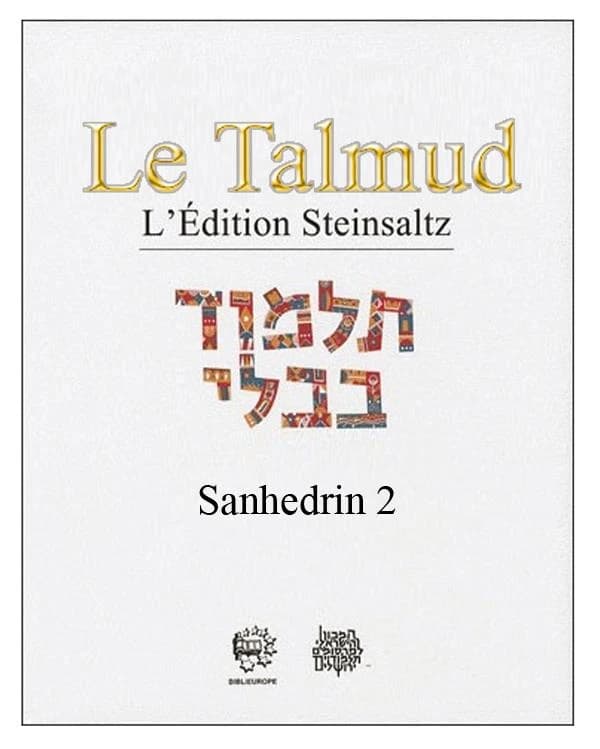 Le Talmud : l'édition Steinsaltz. [XIII-XIV], Sanhédrin