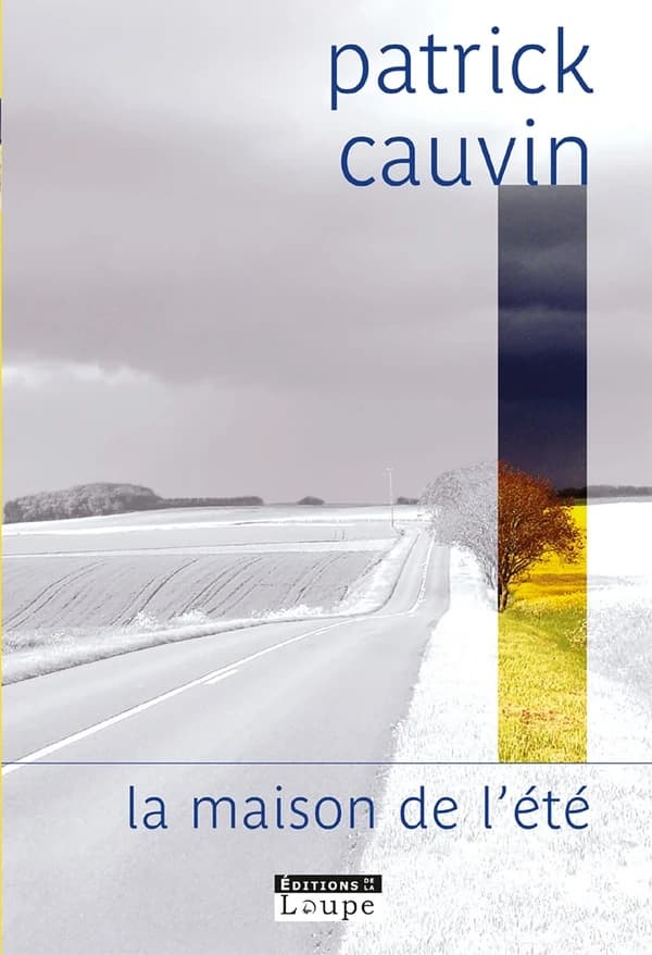 La maison de l'été ([Éd. en gros caractères]) Patrick Cauvin