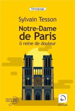 Notre-Dame de Paris : ô reine de douleur ([Éd.] en gros caractères) Sylvain Tesson