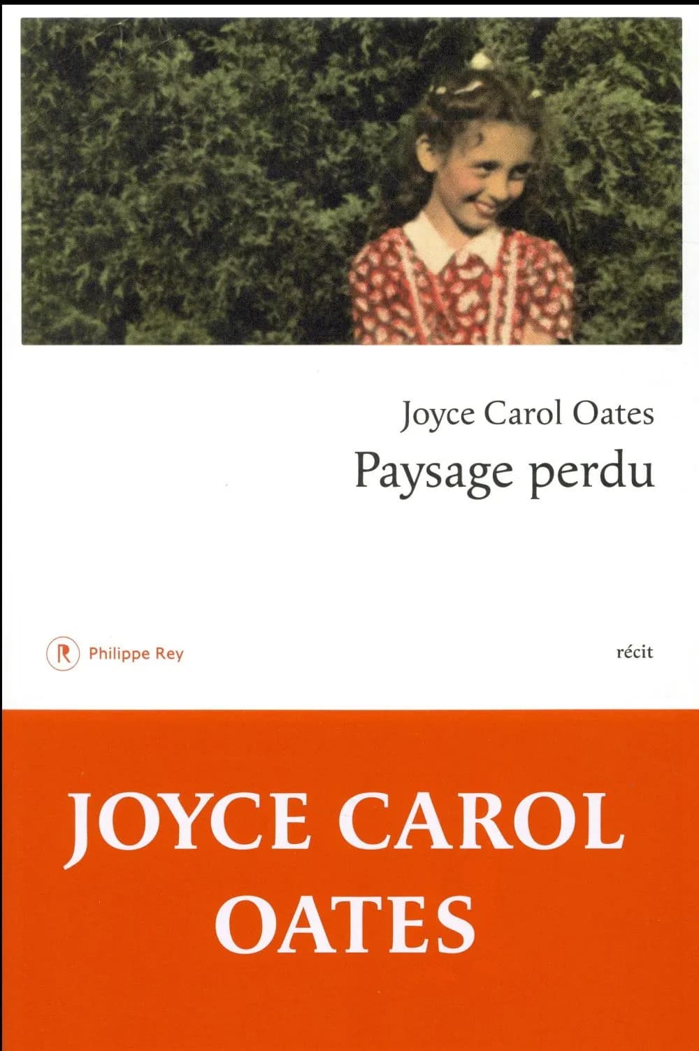 Paysage perdu