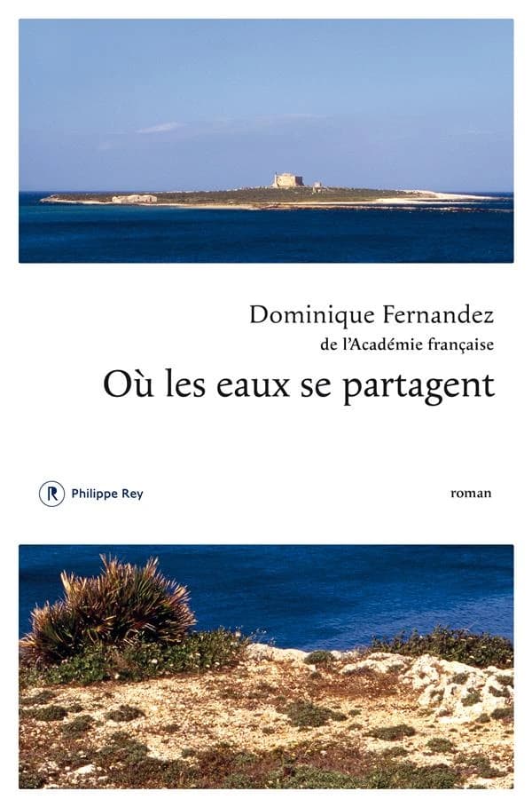 Où les eaux se partagent : roman