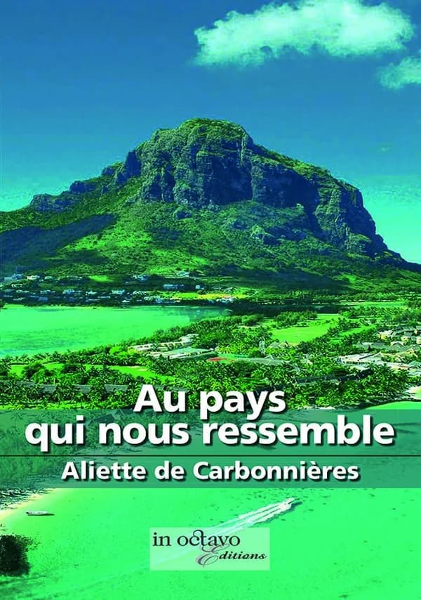 Au pays qui nous ressemble : roman