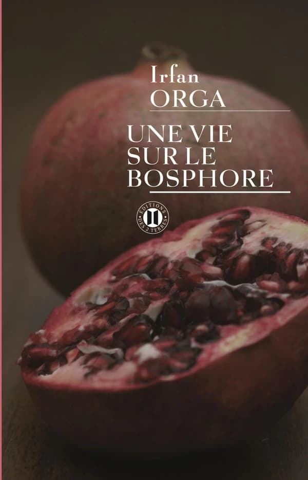 Une vie sur le Bosphore : mémoires