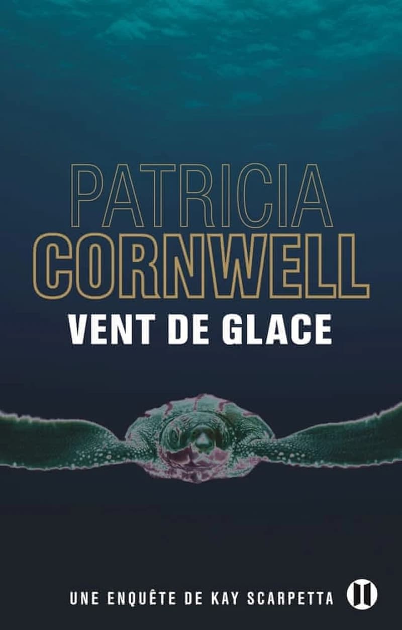 Vent de glace : roman