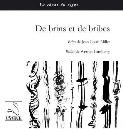Des brins & des bribes