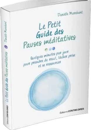 Le petit guide des pauses méditatives : quelques minutes par jour pour prendre du recul, lâcher prise et se ressourcer