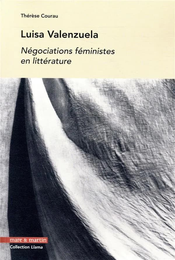 Luisa Valenzuela : négociations féministes en littérature