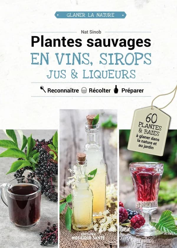 Plantes sauvages en vins, sirops, jus & liqueurs: 60 plantes & baies à glaner dans la nature ou au jardin