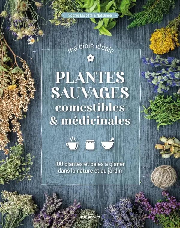Plantes sauvages comestibles & médicinales : 100 plantes et baies à glaner dans la nature et au jardin, ma bible idéale