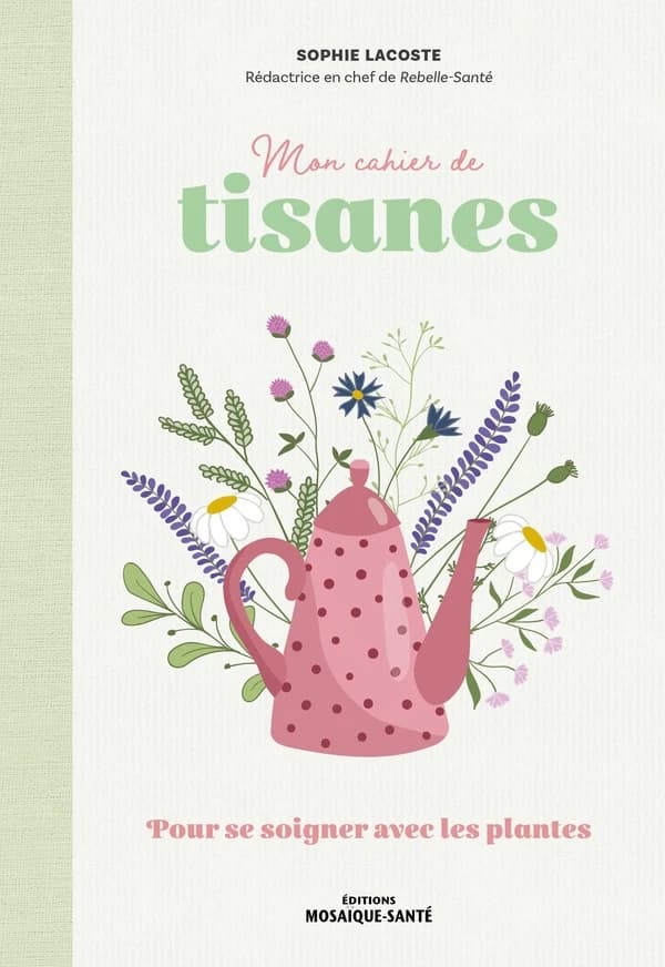 Mon cahier de tisanes : Pour se soigner avec les plantes