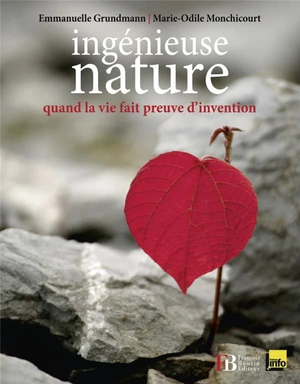 Ingénieuse nature