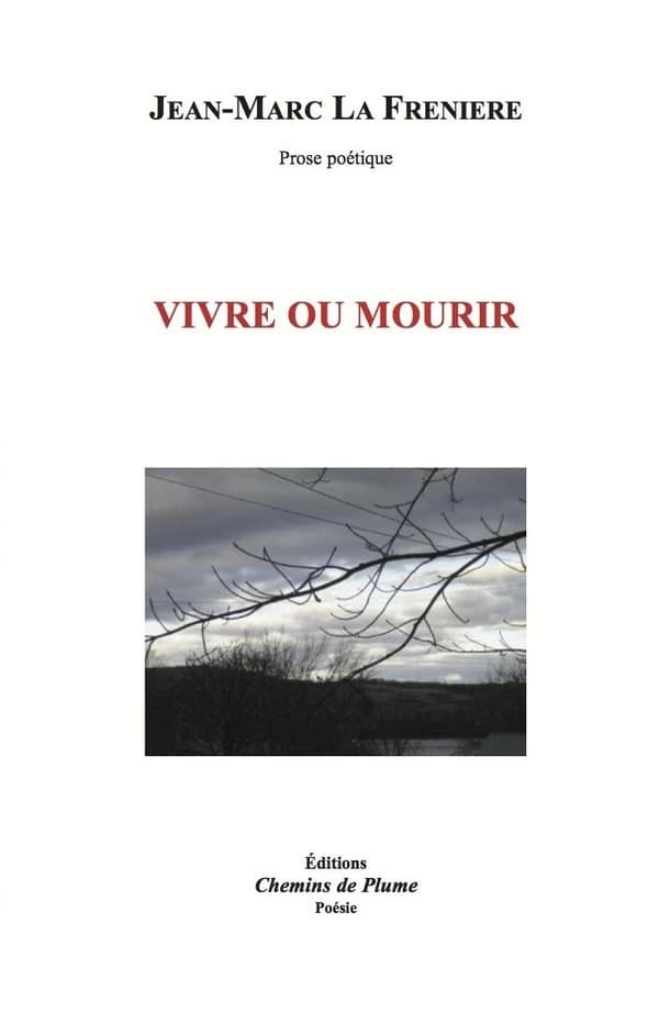 Manquablement : prose poétique