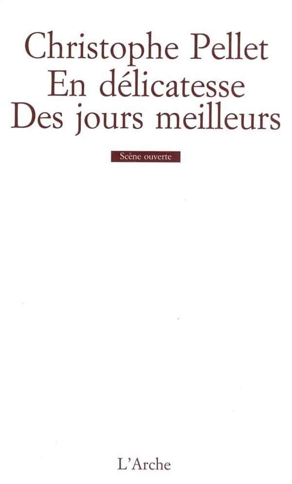 En délicatesse ; Des jours meilleurs