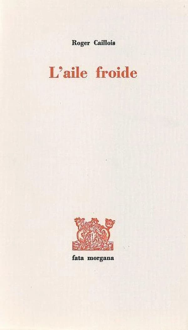 L'Aile froide