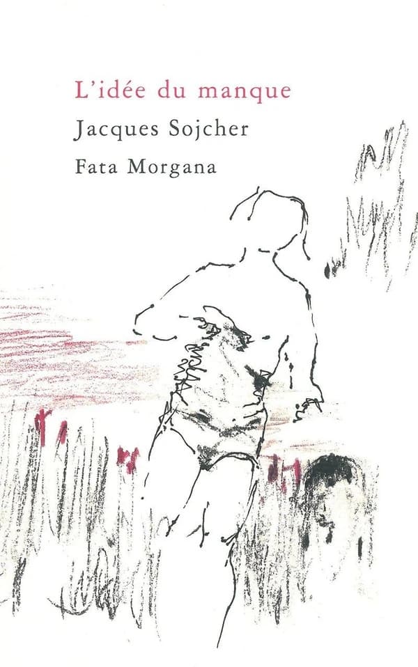 L'idée du manque
