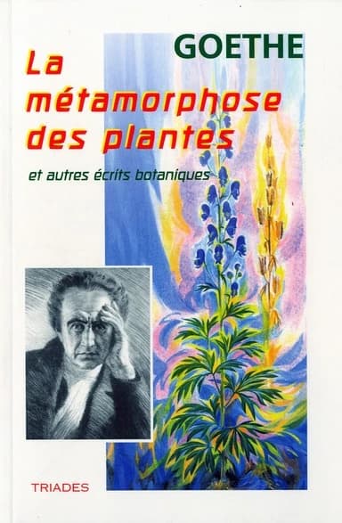 La métamorphose des plantes et autres écrits botaniques (2e édition entièrement revue et augmentée) Goethe ; introduction et notes de Rudolf Steiner ; textes choisis et présentés par Paul-Henri Bideau ; trad. de l'allemand par Henriette Bideau
