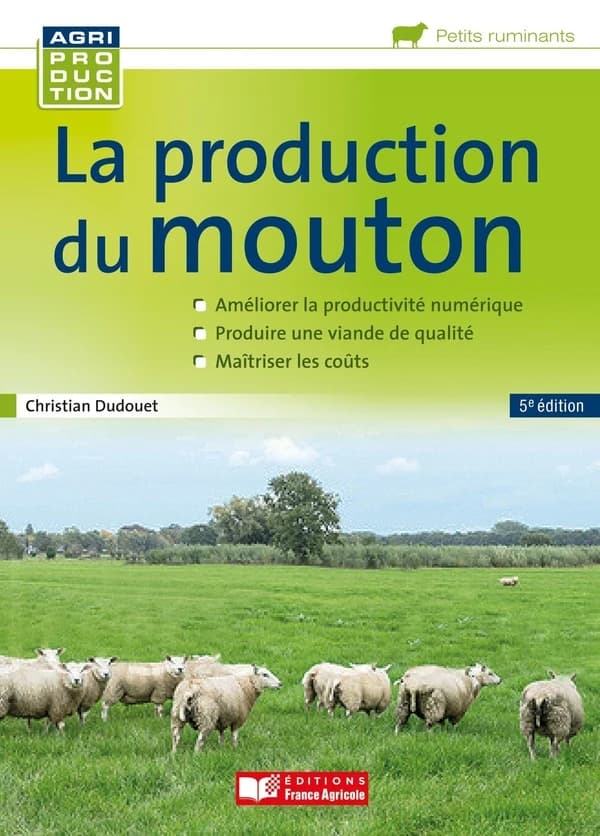 La production du mouton