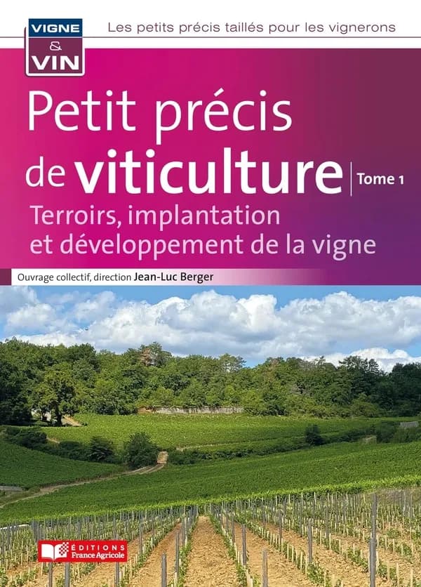 Petit précis de viticulture : terroirs, implantation et développement de la vigne