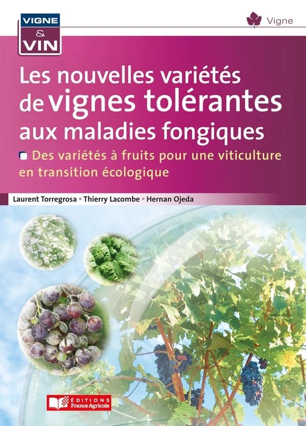 Les nouvelles variétés de vignes tolérantes aux maladies fongiques : des variétés à fruits pour une viticulture en transition agroécologique