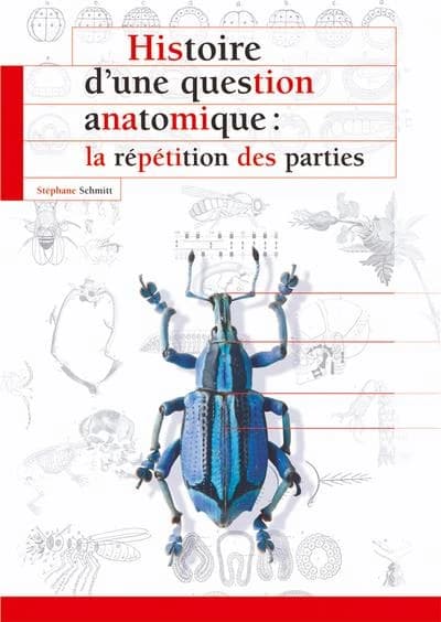 Histoire d'une question anatomique : la répétition des parties