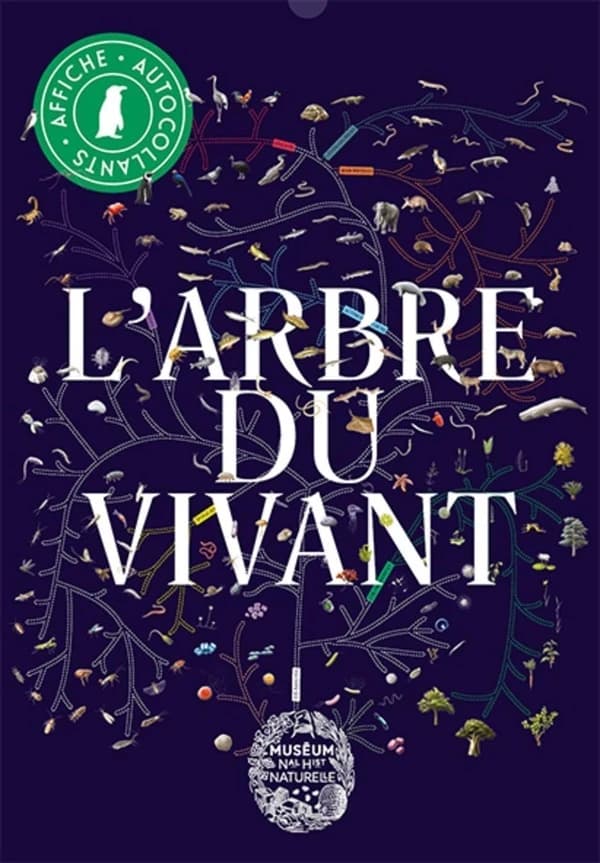 L'arbre du vivant : [Autocollant]