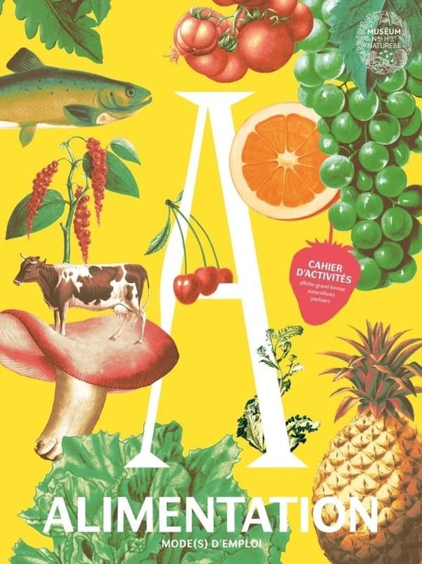 Alimentation mode(s) d'emploi : cahier d'activités