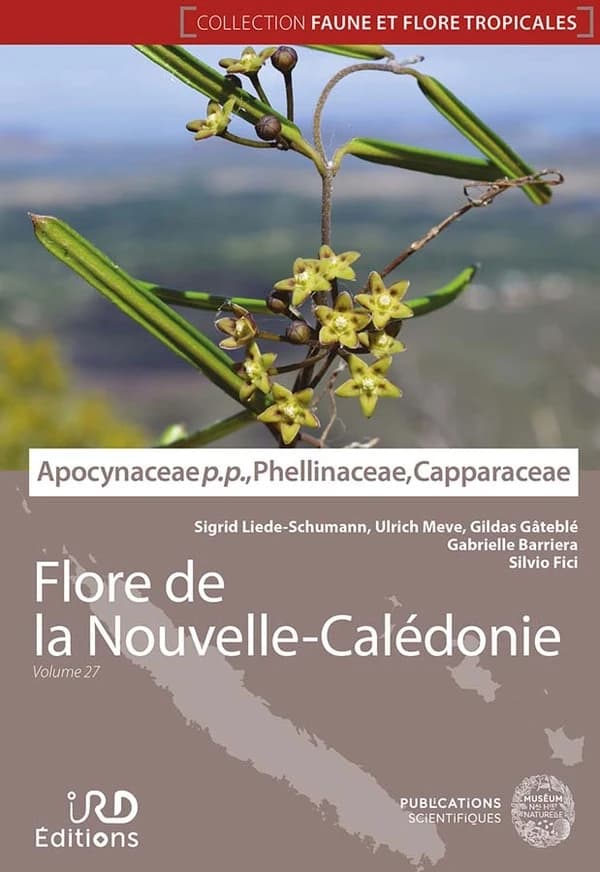Apocynaceae pro parte