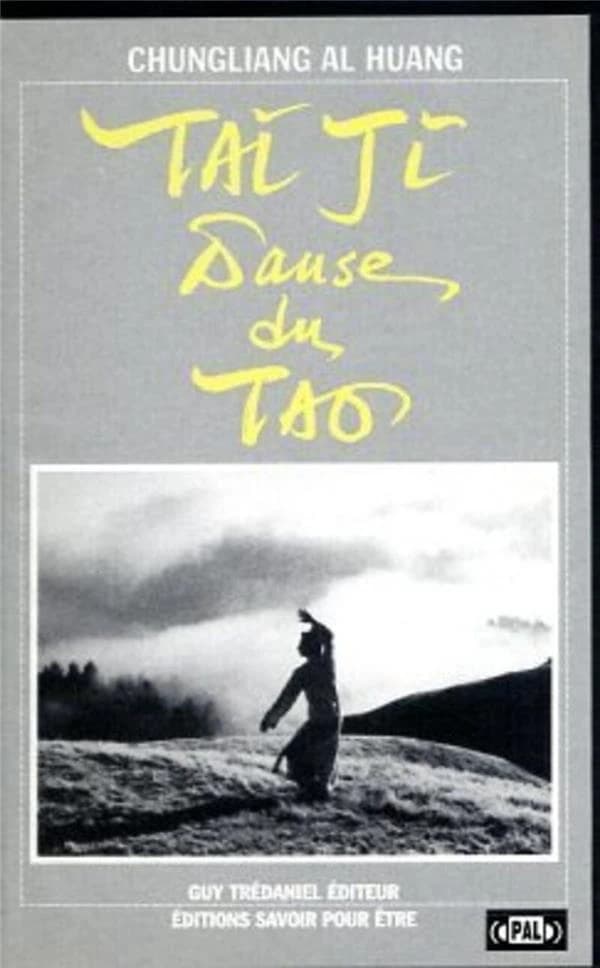 K7 vidéo Tai ji, danse du tao