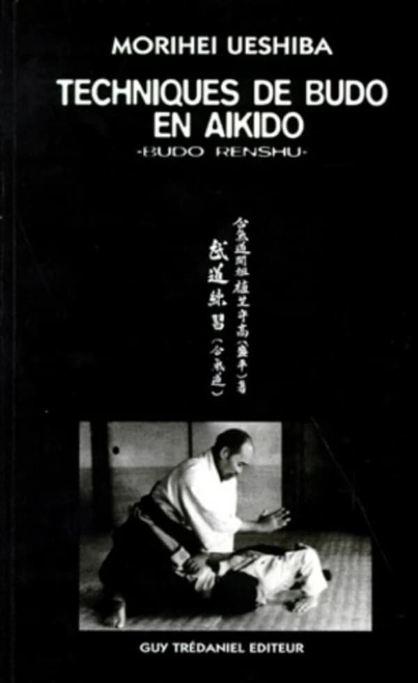 Techniques de maitre budo en aikido