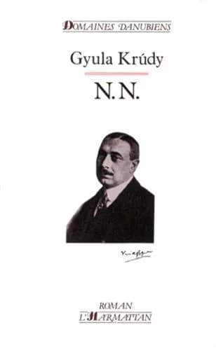 N.N. (roman)