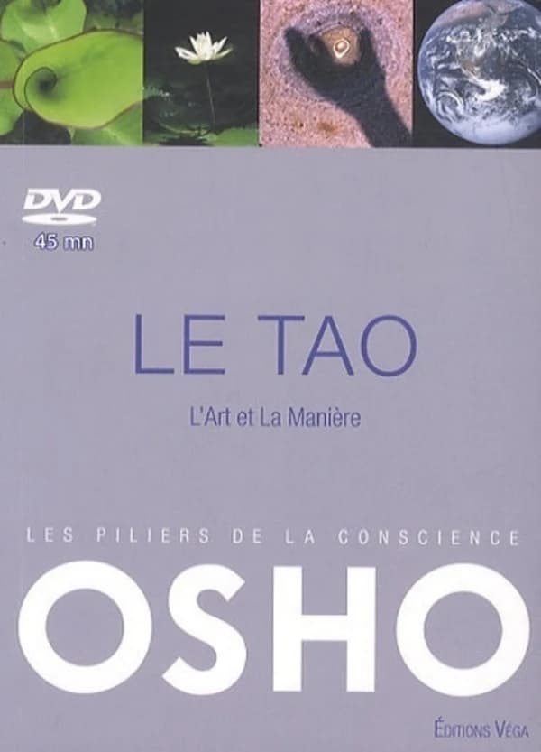 Le Tao, l'art et la manière