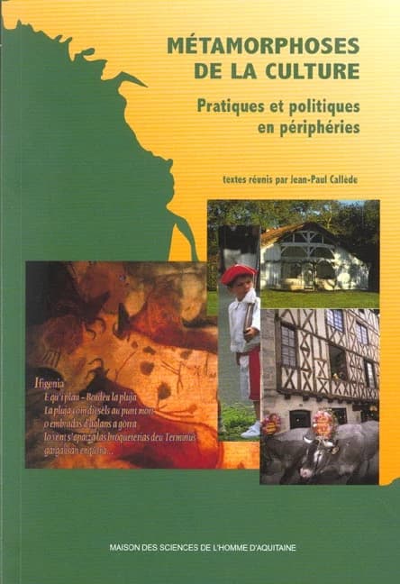 Métamorphoses de la culture : pratiques & politiques en périphéries
