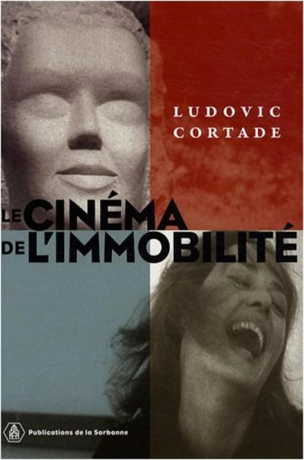 Le cinéma de l'immobilité : style, politique, réception