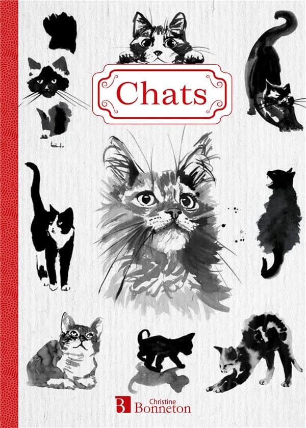 Chats ; petit carnet de notes