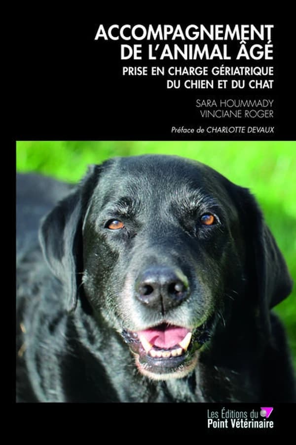 Accompagnement de l'animal âgé : prise en charge gériatrique du chien et du chat