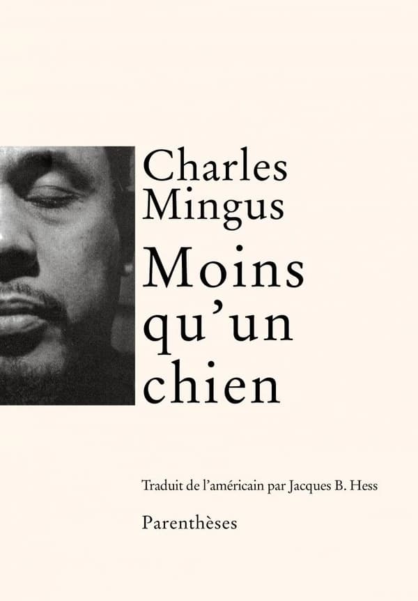 Moins qu'un chien