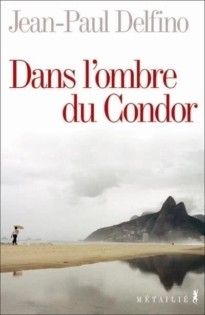 Dans l'ombre du Condor