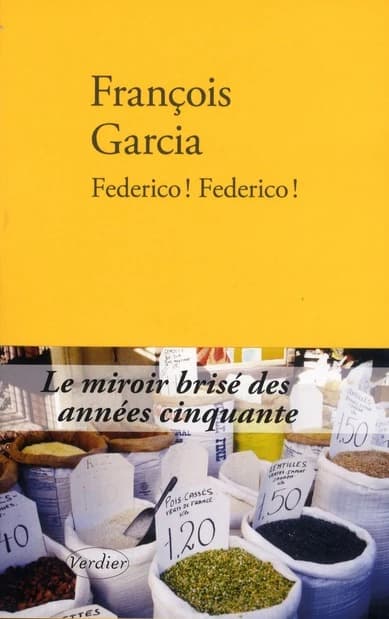 Federico ! Federico ! : roman