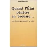 Quand l'État pénètre en brousse : les ripostes paysannes à la crise