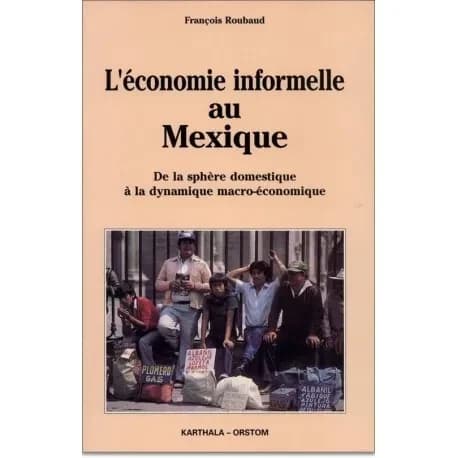 L'économie informelle au Mexique : de la sphère domestique à la dynamique macro-économique